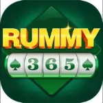 Rummy365 icon